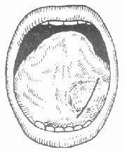 �������׵������п�