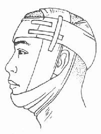 ʮ�ֱ���������