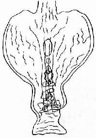 ����θ����÷���λʾ��ͼ