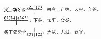 ���鳣��Ѩλ�ο�