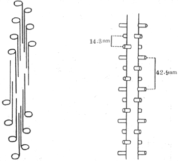 �ּ�˿�м������׷��ӵ�����ʾ��ͼ