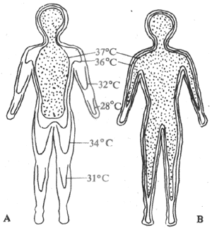 �ڲ�ͬ�����¶����������·ֲ�ͼ