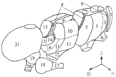 �Ҳ�������Ҫ����ʾ��ͼ