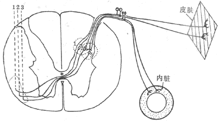 ǣ��ʹ��������ʾ��ͼ