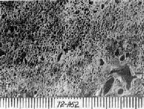 ȫ�����ͷ�����