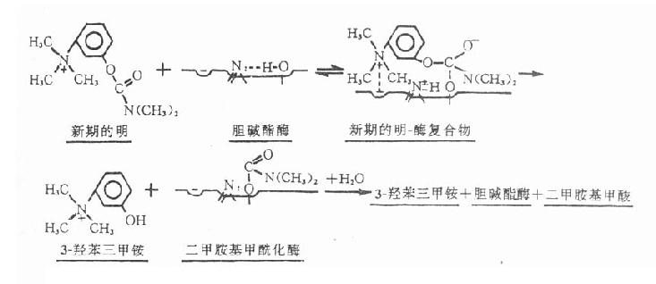 ��˹�������Ƶ�����ø���̵�ʾ��ͼ