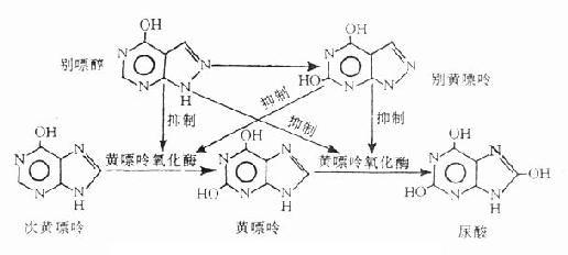 ���Ѵ��Ի���������ø������